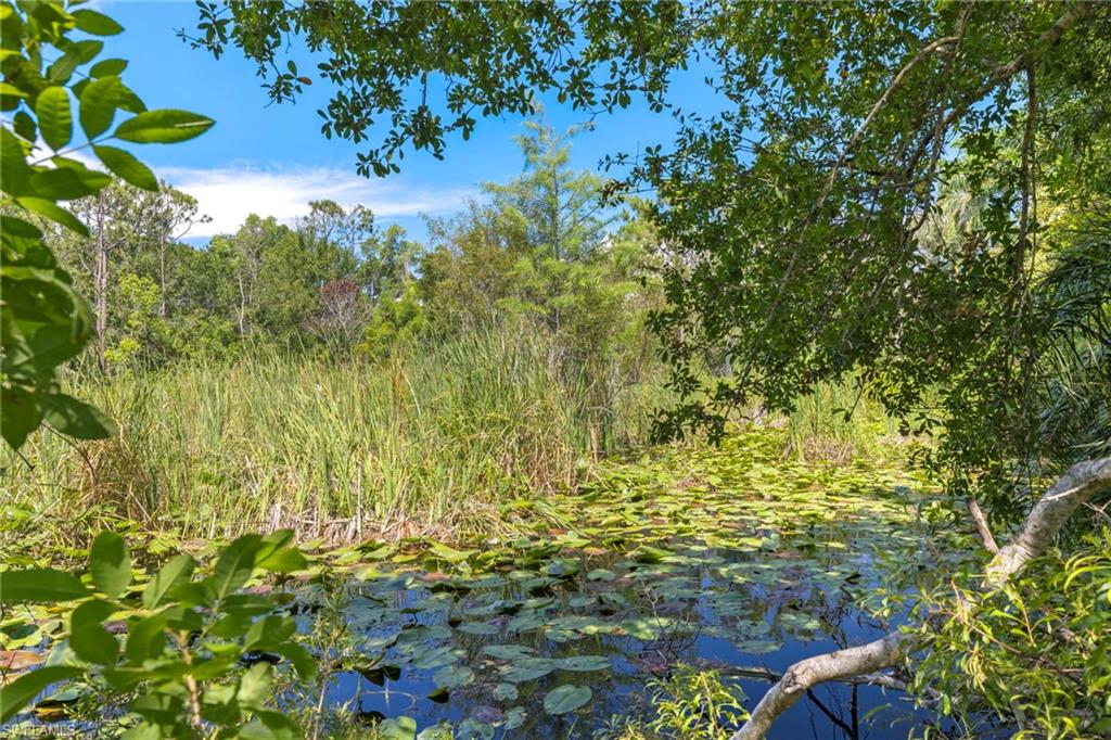 COLONIAL RANCHETTES UNRECORDED SUBDIVISION - Land