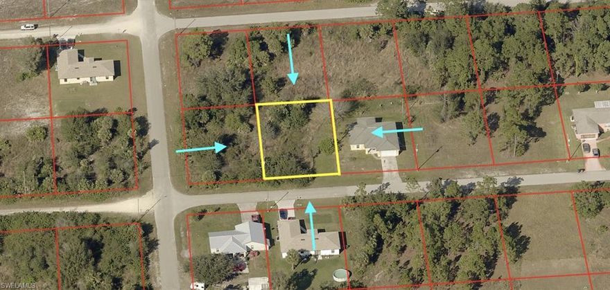 Could this be the location of your future dream home? This property is only about 20 minutes outside of all the great things Ft. Myers has to offer! The lot has access to electricity and is well/septic. This property is priced to sell quickly, so don't miss out!