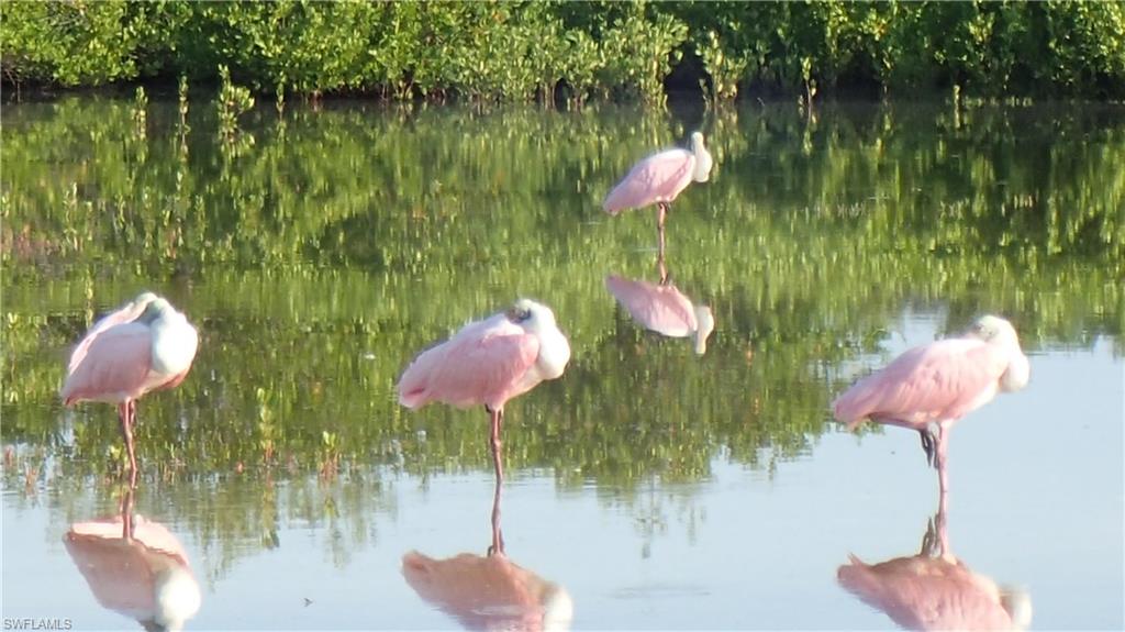 BAY VILLAGE CONDO - Residential