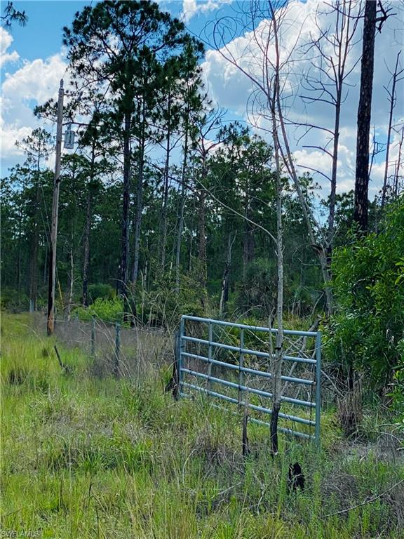 ACREAGE HEADER - Land