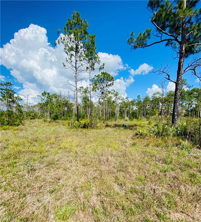 ACREAGE HEADER - Land