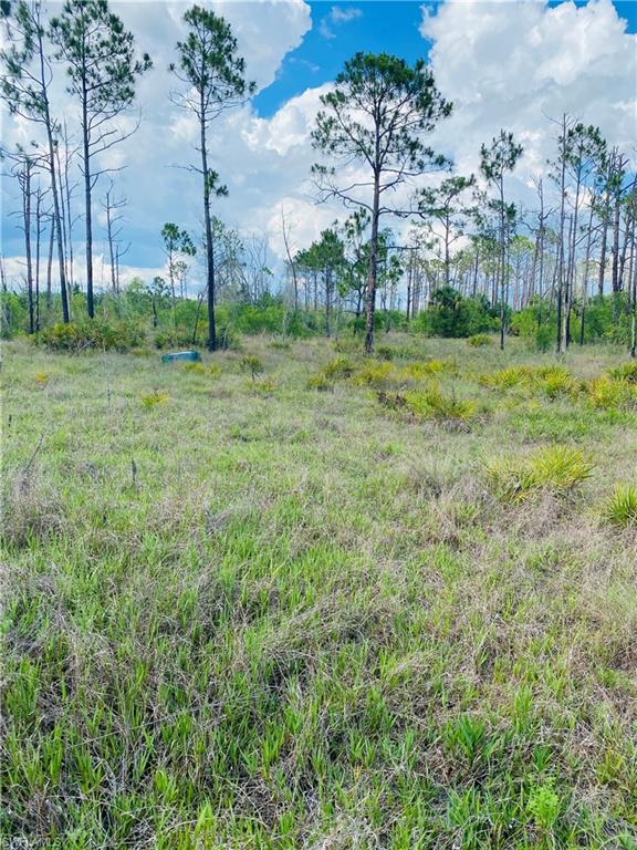 ACREAGE HEADER - Land