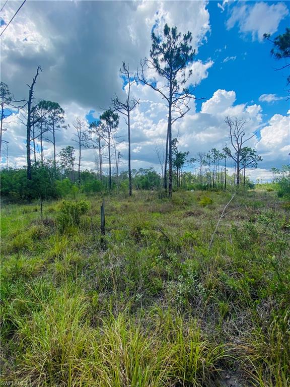 ACREAGE HEADER - Land