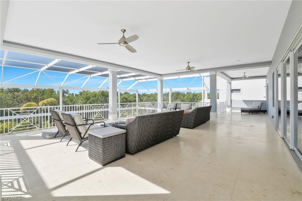 TIGERTAIL - Residential