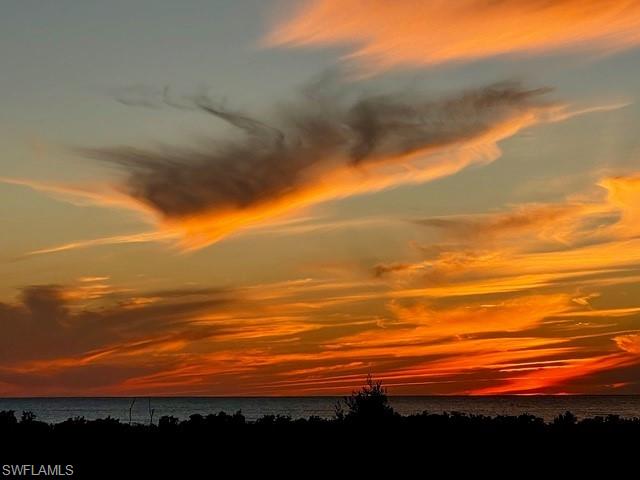 TIGERTAIL - Residential