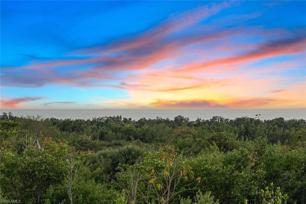 TIGERTAIL - Residential