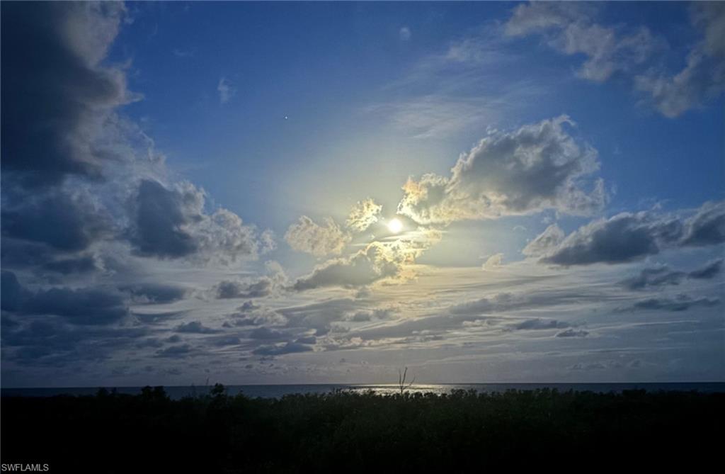 TIGERTAIL - Residential