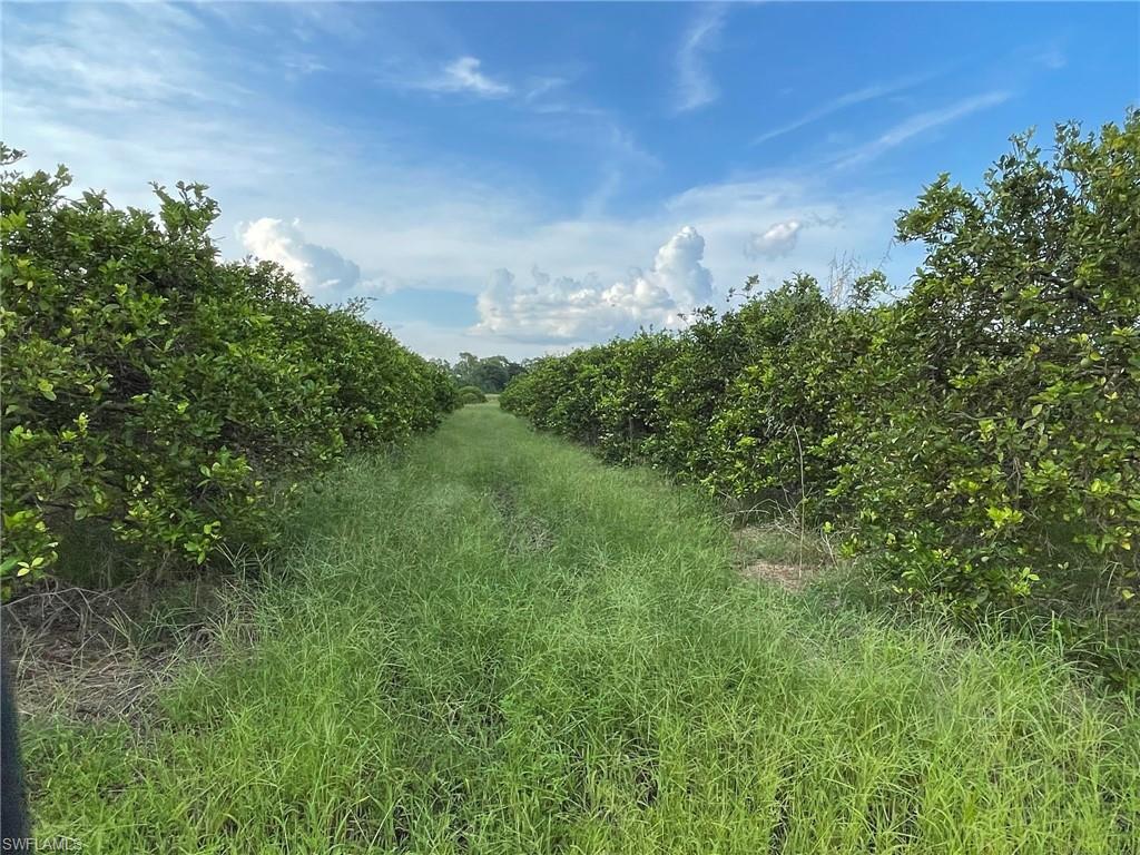 GERBER GROVES SEC 1 - Land