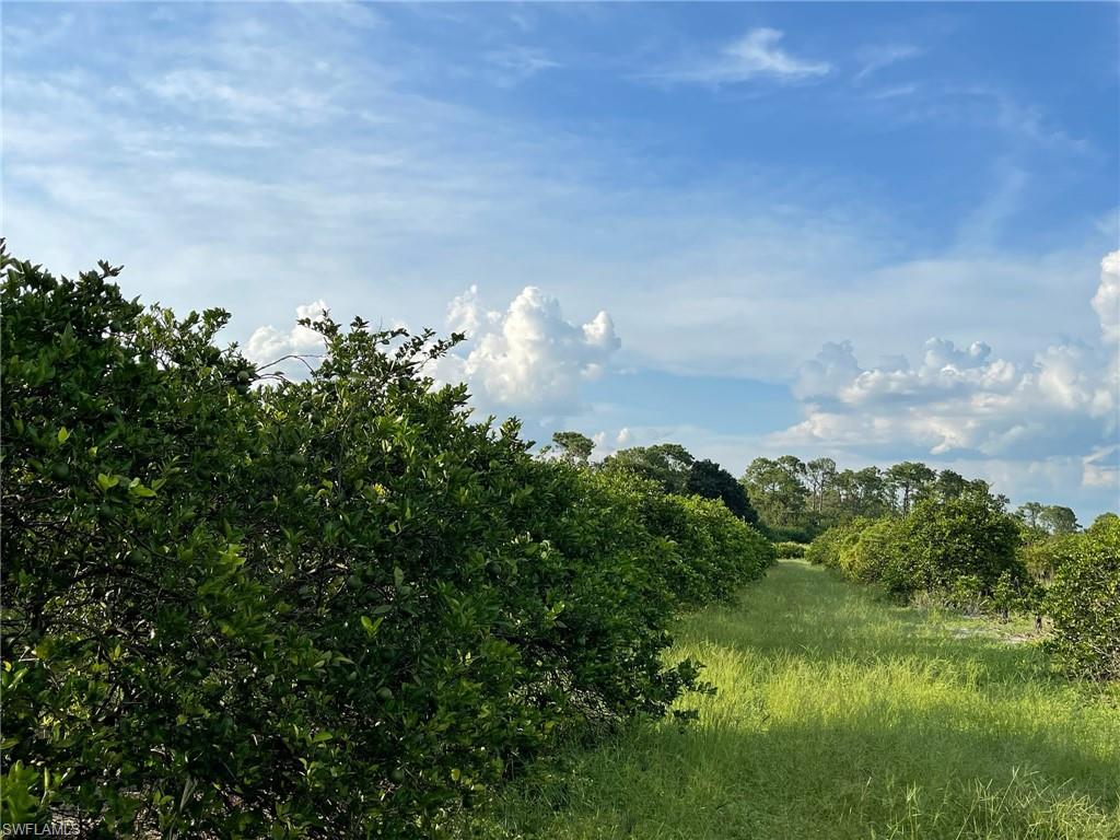 GERBER GROVES SEC 1 - Land