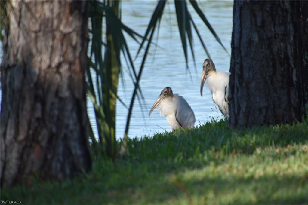 GOLDEN PALMS LUXURY MOTORCOACH RESORT - Land