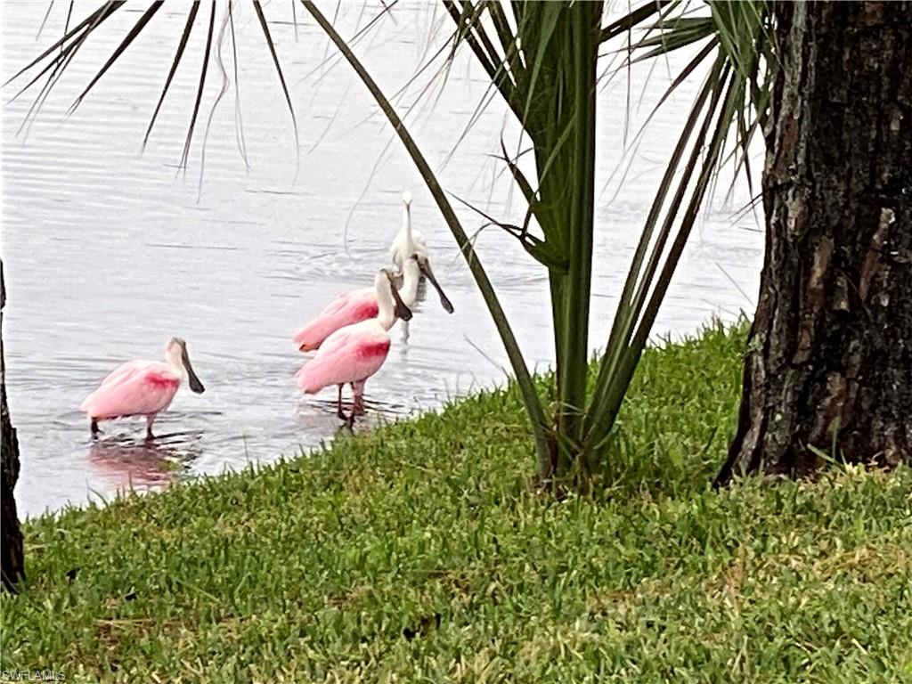 GOLDEN PALMS LUXURY MOTORCOACH RESORT - Land