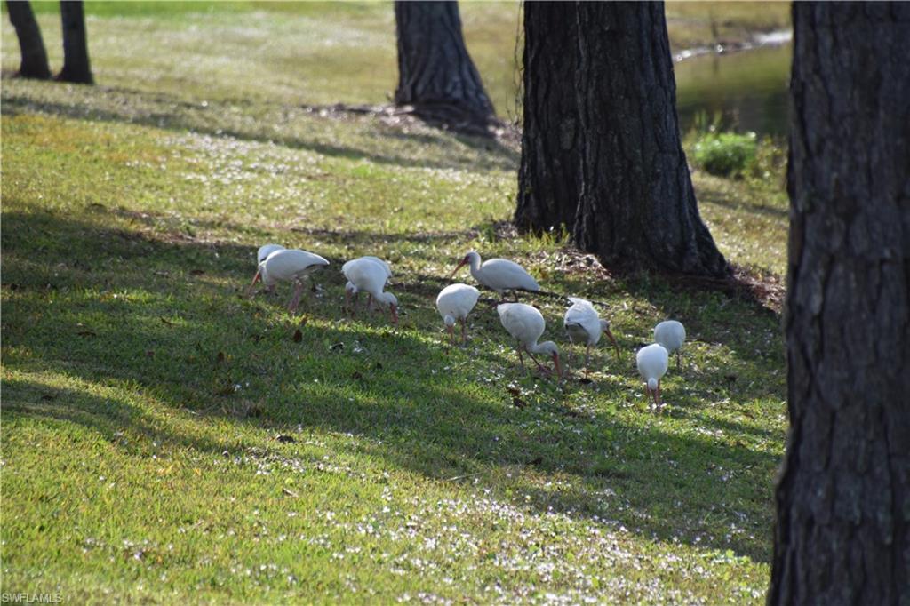 GOLDEN PALMS LUXURY MOTORCOACH RESORT - Land