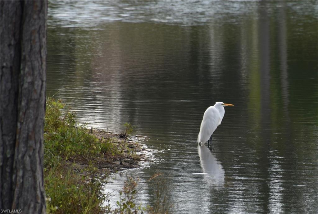 GOLDEN PALMS LUXURY MOTORCOACH RESORT - Land