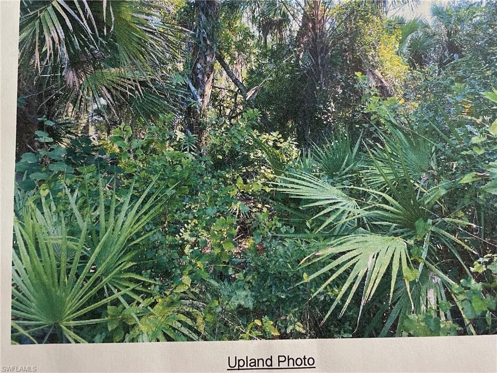 GOLDEN GATE ESTATES - Land