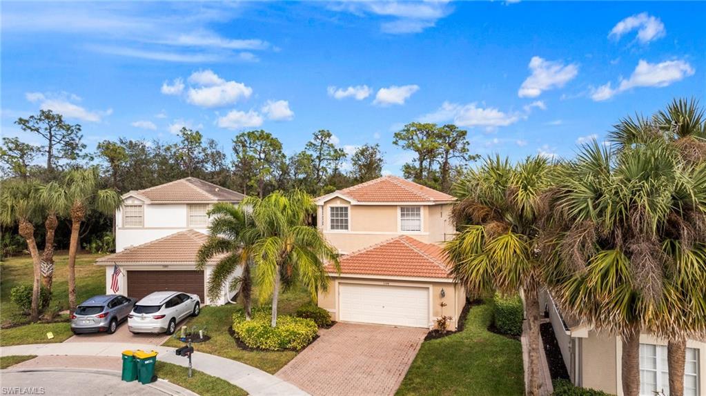 1384 Areca CV