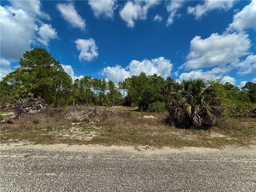 GREAT LOCATION DEAD END along side canal in the HIGHLY DESIRABLE WEST side on a quiet paved street with utilities! Just minutes from major amenities with a quick commute to Fort Myers! Come build your DREAM HOME or INVEST today!