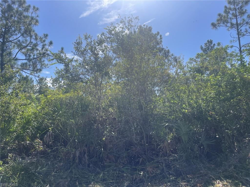 GOLDEN GATE ESTATES - Land