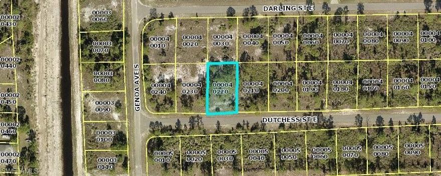 Beautiful corner lot minutes away from SR-82 and a short distance to Ft Myers for shopping, restaurants and
all necessities.  Buy and build or add to your portfolio in fast growing Lehigh Acres.