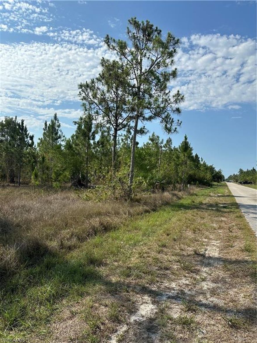 Spacious , wooded, half-acre buildable lot located in a quiet neighborhood on the north side of Lehigh acres.  Zoned RS-1 which is Residential Single Family Home.
