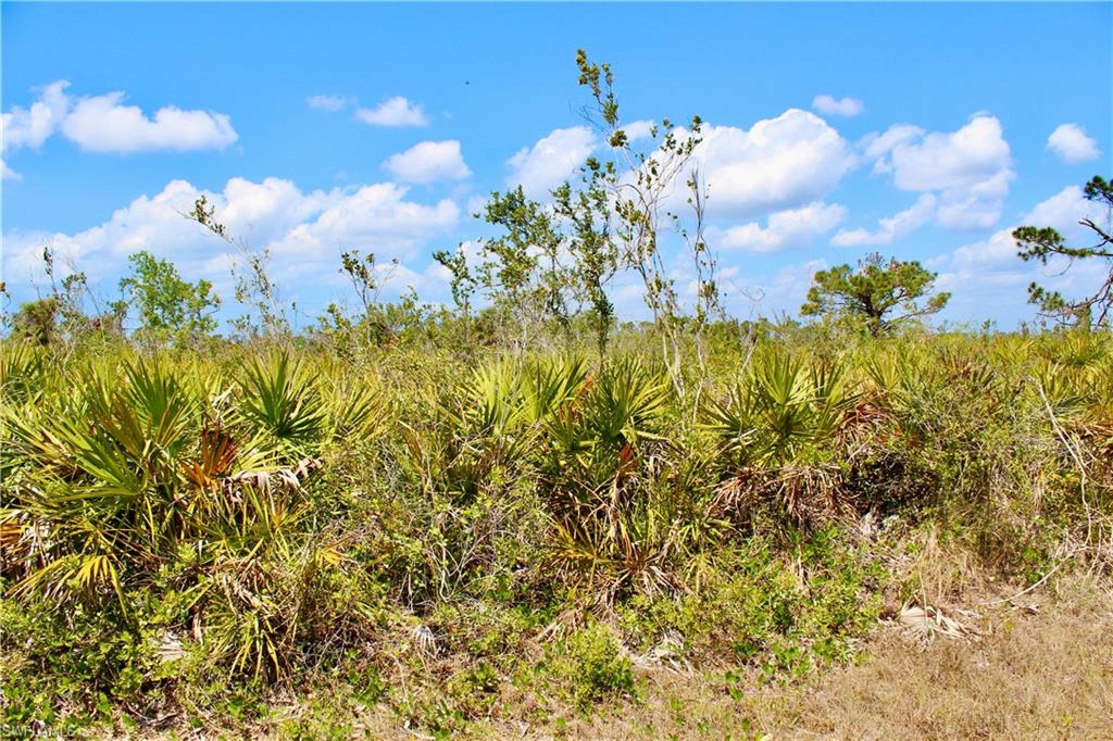 ROTONDA SANDS - Land