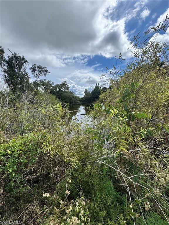 KREAMERS AVOCADO UNREC - Land