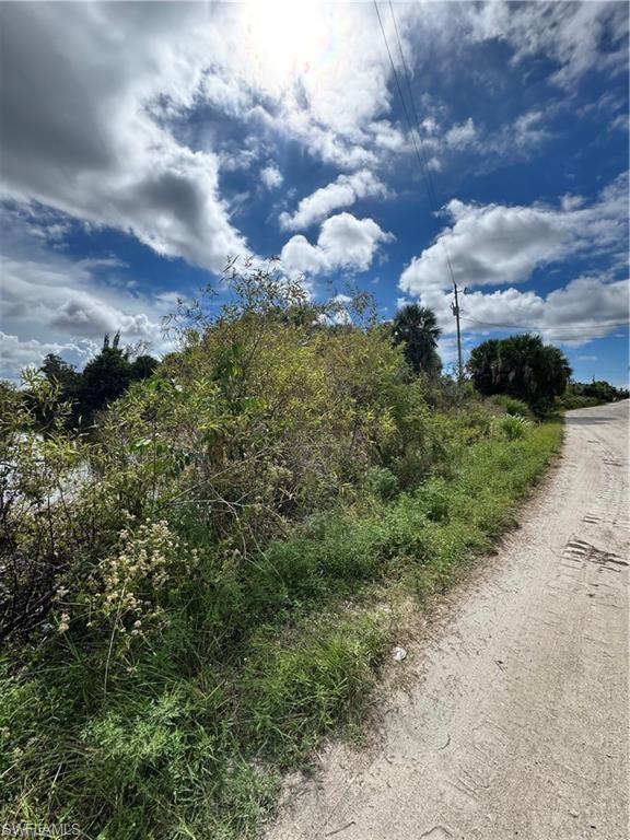 KREAMERS AVOCADO UNREC - Land