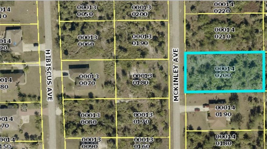 ** WONDERFUL opportunity to purchase 3 lots on McKinley Ave **  This lot is across the street from SIDE-BY-SIDE lots 511 & 513 McKinley Ave.  Owned by the SAME SELLER ** SELLER'S FAMILY has listed: 2408 Vernon Ave S (DUPLEX LOT), 616 Desoto Ave, 2518 15th St W, 719 & 721 McArthur Ave (SIDE-BY-SIDE), 516 & 520 Hibiscus Ave (VERY CLOSE TO EACH OTHER), 510, 511, & 513 McKinley Ave (SIDE-BY-SIDE & ACROSS THE ST FROM EACH OTHER), 3218 Vera Ct, AND 304 Hermosa Ave ALL close to each other in Lehigh Acres ** Builders' Dream ** Buy 1, buy some, buy all option available ** All these lots are listed on the MLS and list price is per lot ** 100% Flood Zone X (no flood insurance required) for all these lots per DFIRM Viewer *** ALL OFFERS WELCOME!