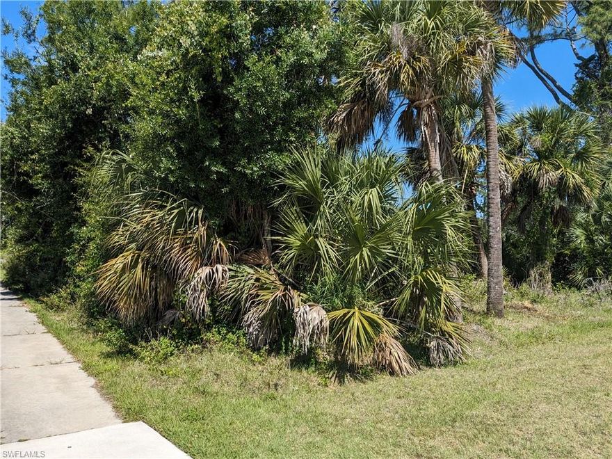 Wonderful Corner Lot to Build your piece of paradise! One of the fastest Growing area in south Florida. NO HOA Fees
and close to Interstate 75. Quiet neighborhood. Contact me today for more details. Close to new Hospital being built off of Sumter Blvd Interchange .