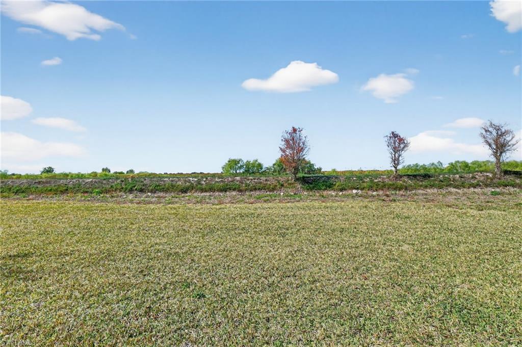 ORANGE BLOSSOM RANCH - Residential