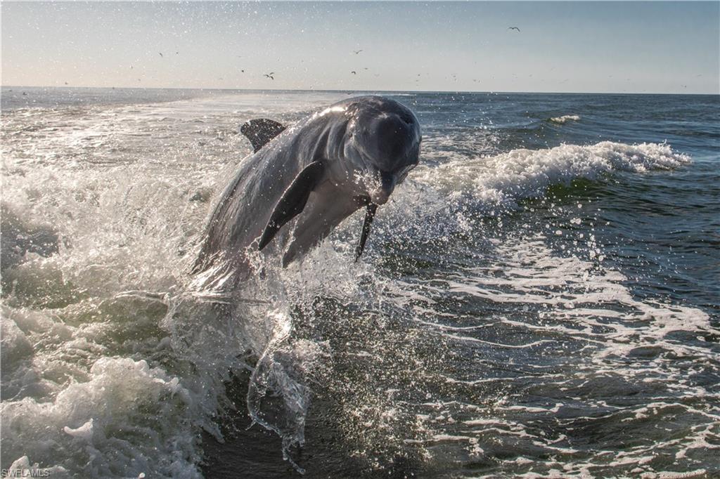TENNIS VILLAS - Residential