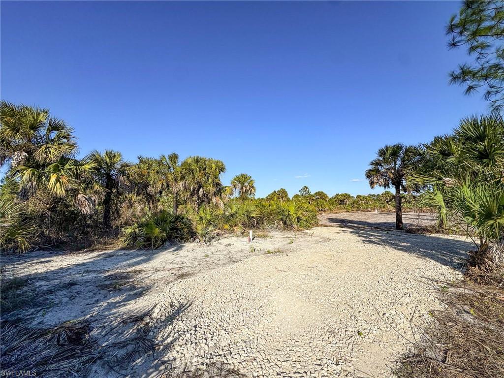 GOLDEN GATE ESTATES - Land