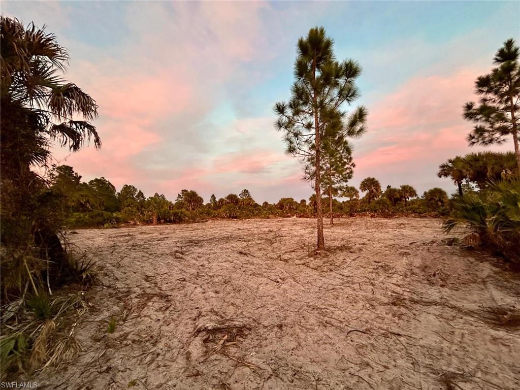 GOLDEN GATE ESTATES - Land