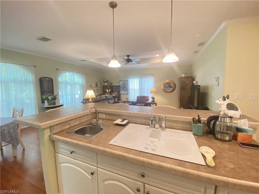 OLD BRIDGE VILLAGE - Residential