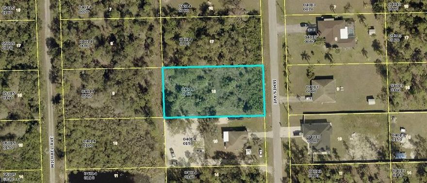 Oversized lot in a great community for you to build your new home. This is an easy commute to shopping, schools, house of worship. Minutes away to Joel Blvd and SR80 which will take you to Fort Myers or Labelle.