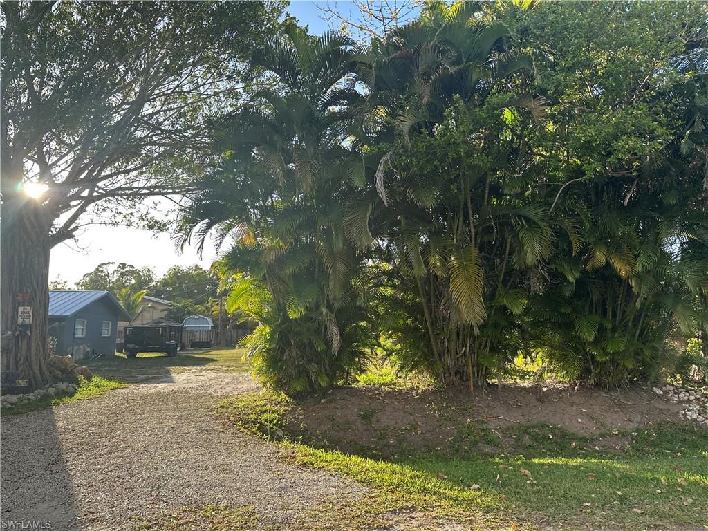 SAN CARLOS PARK - Land