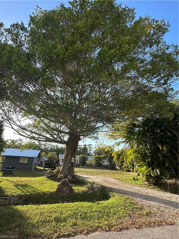 SAN CARLOS PARK - Land