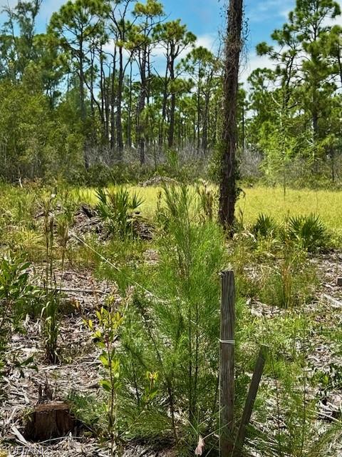 EAGLE LAKE ESTATES - Land