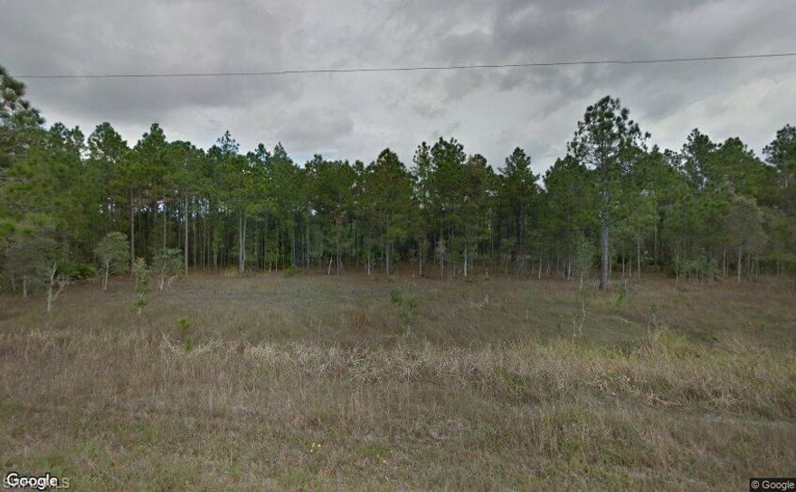 Price to sale fast
 Do not miss this opportunity in one's of the faster growing in SW Florida
Excellent opportunity with an oversized lot, in an area with new construction homes being built. Just a short drive to Fort Myers Airports, two Baseball Spring training facilities and beaches!