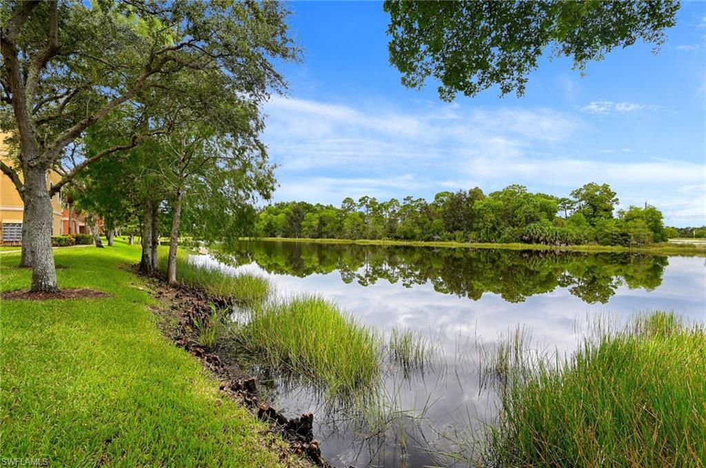 THE TIDES AT PELICAN LANDING - Residential