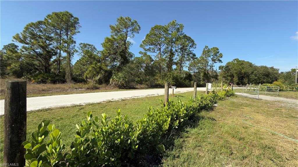 PUNTA GORDA - Residential