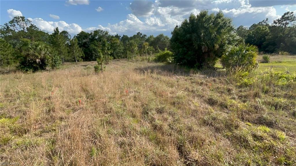 GOLDEN GATE ESTATES - Land