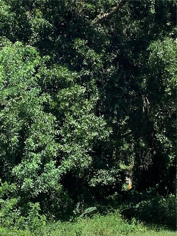 IMMOKALEE HIGHLANDS - Land