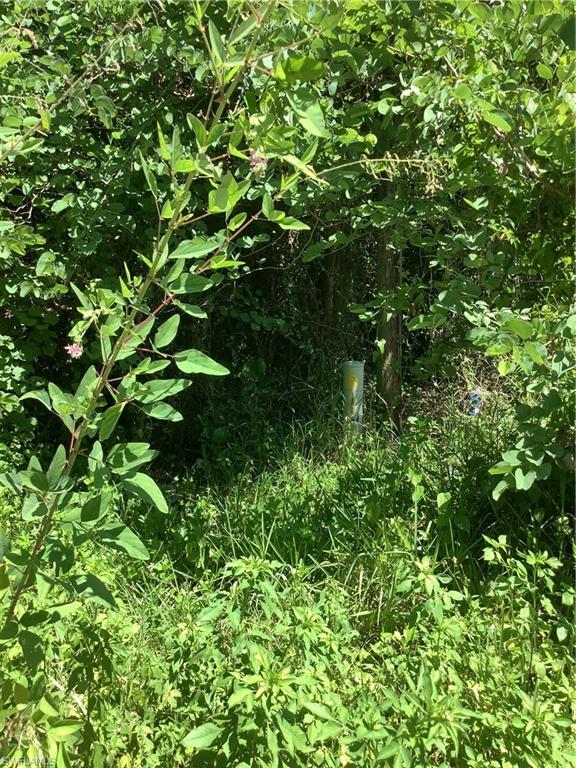 IMMOKALEE HIGHLANDS - Land