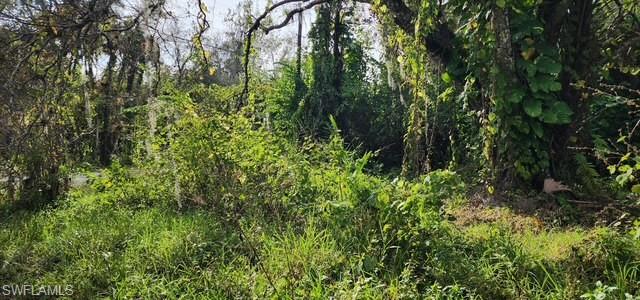 IMMOKALEE HIGHLANDS - Land