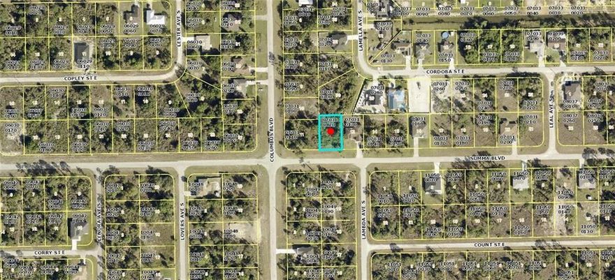 Excellent opportunity in an area with new construction homes being built. Just a short drive to Fort Myers and Punta Gorda airports, two spring training facilities and beaches!