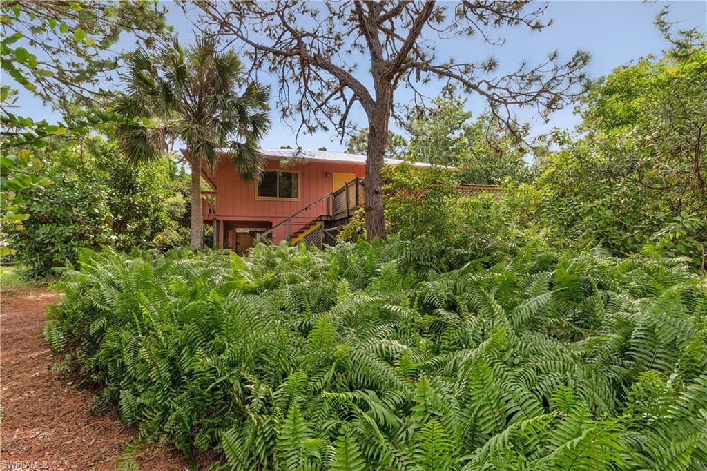 NESTING OF PINE ISLAND - Residential