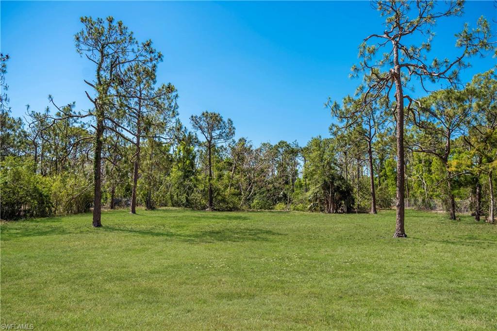 LIVINGSTON WOODS - Residential