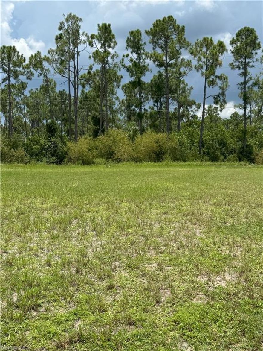 Flat Ready to Build with Utilities to Lot

Your Dream Home Awaits—Nature at Your Doorstep!

Picture your mornings sipping coffee to the sweet sound of birdsong, or catching glimpses of friendly Gopher Tortoises strolling past your porch. This flat, build-ready lot offers you the peaceful lifestyle you've been dreaming about—without sacrificing convenience. Utilities are already set up, meaning you're closer than ever to turning your vision into reality.

You'll become part of Burnt Store Village, a welcoming community filled with larger lots, a charming mix of brand-new homes and established neighbors, and an inviting sense of community. Enjoy relaxing afternoons at your neighborhood park, featuring a playground, basketball court, tranquil pond, and walking trail. Gather with new friends at the picturesque gazebo, where community events happen year-round.

Drive by today—see for yourself why this should be your new home sweet home.

Agent is related to Seller.
