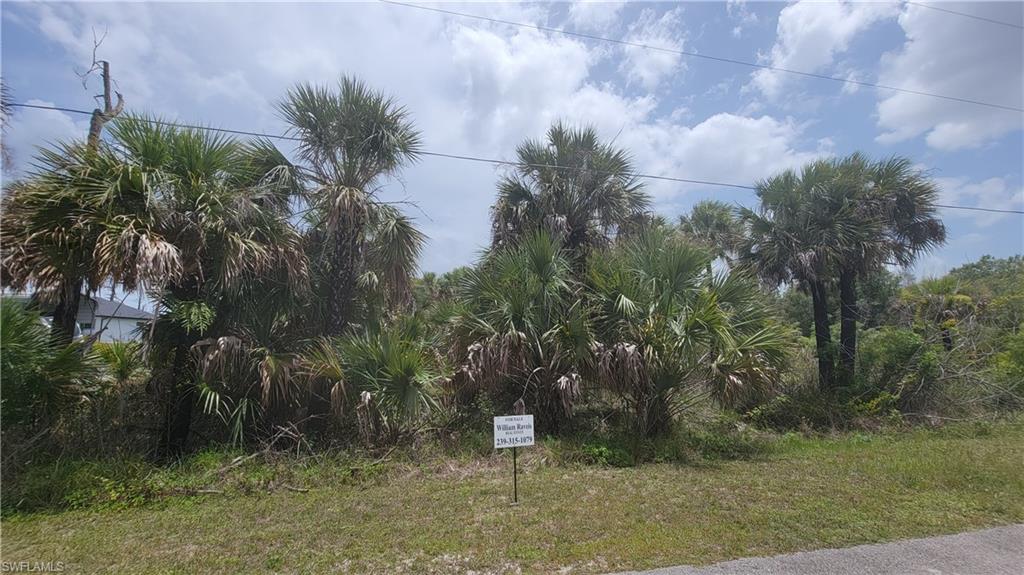 GOLDEN GATE ESTATES - Land