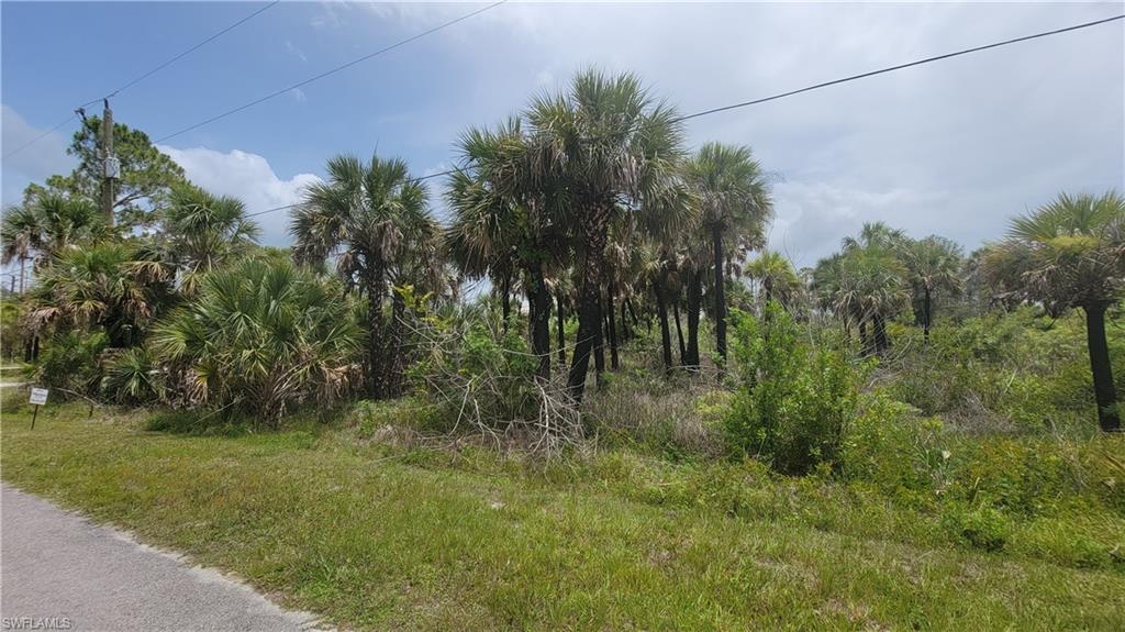 GOLDEN GATE ESTATES - Land